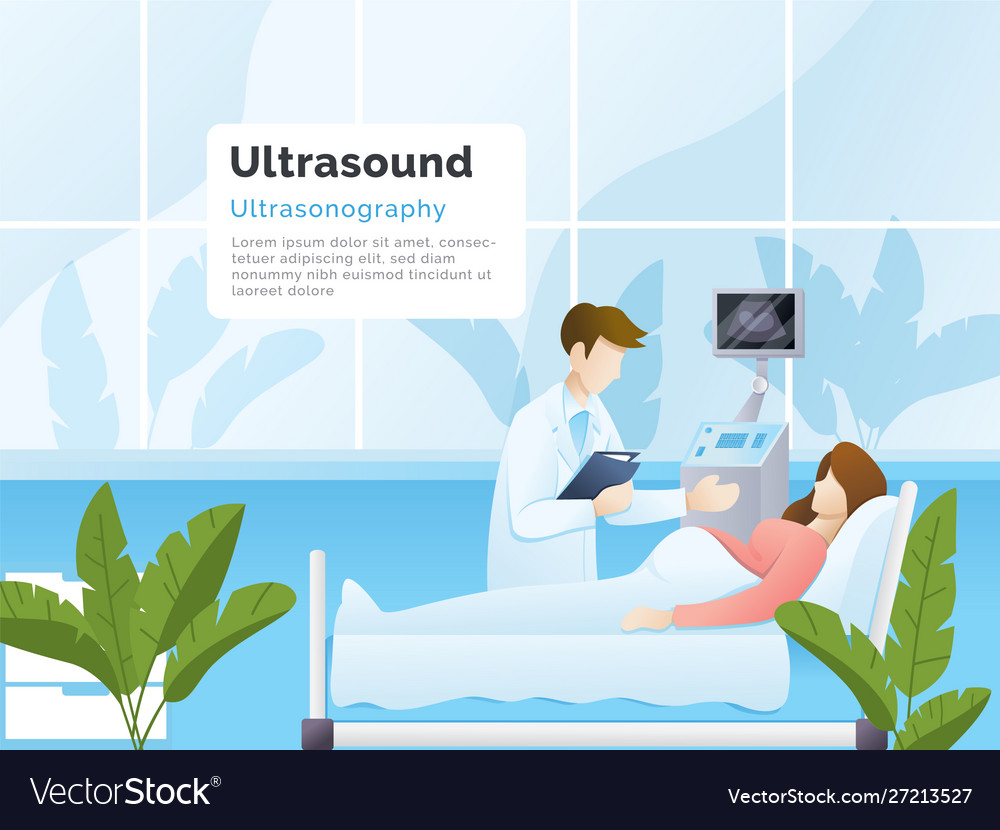 Ultrasound diagnostic vector image Ultrasound diagnostic