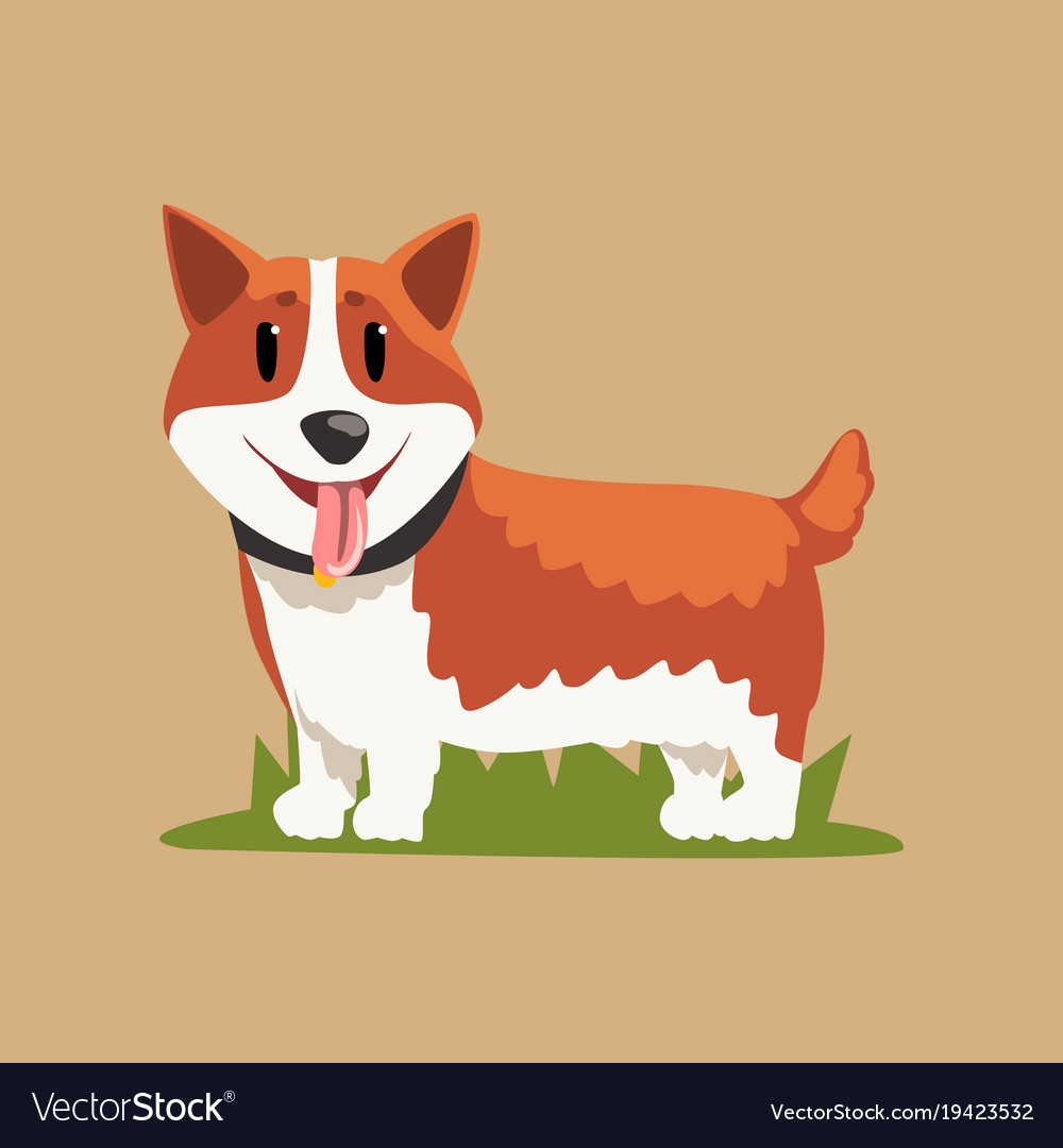 Funny Red Haired Welsh Corgi Standing On Green Vector Image