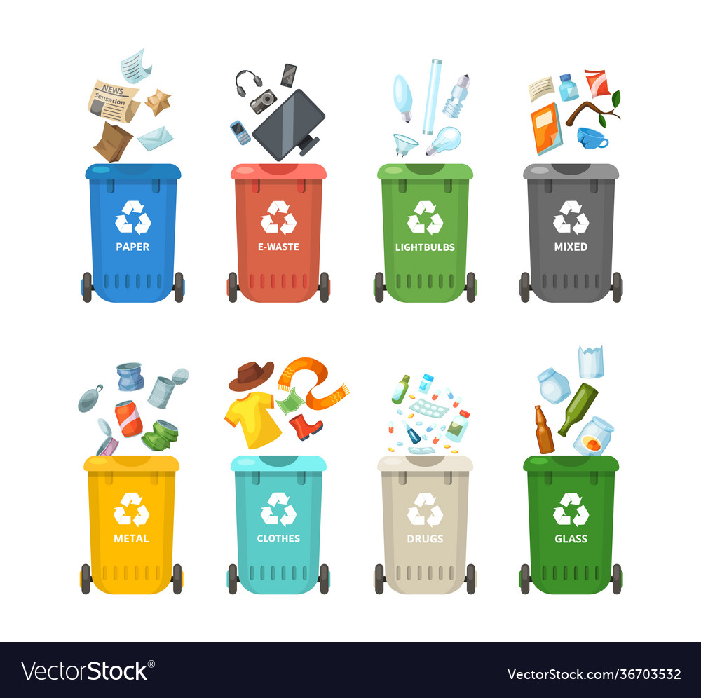 Trash in garbage cans with sorted garbage for Vector Image