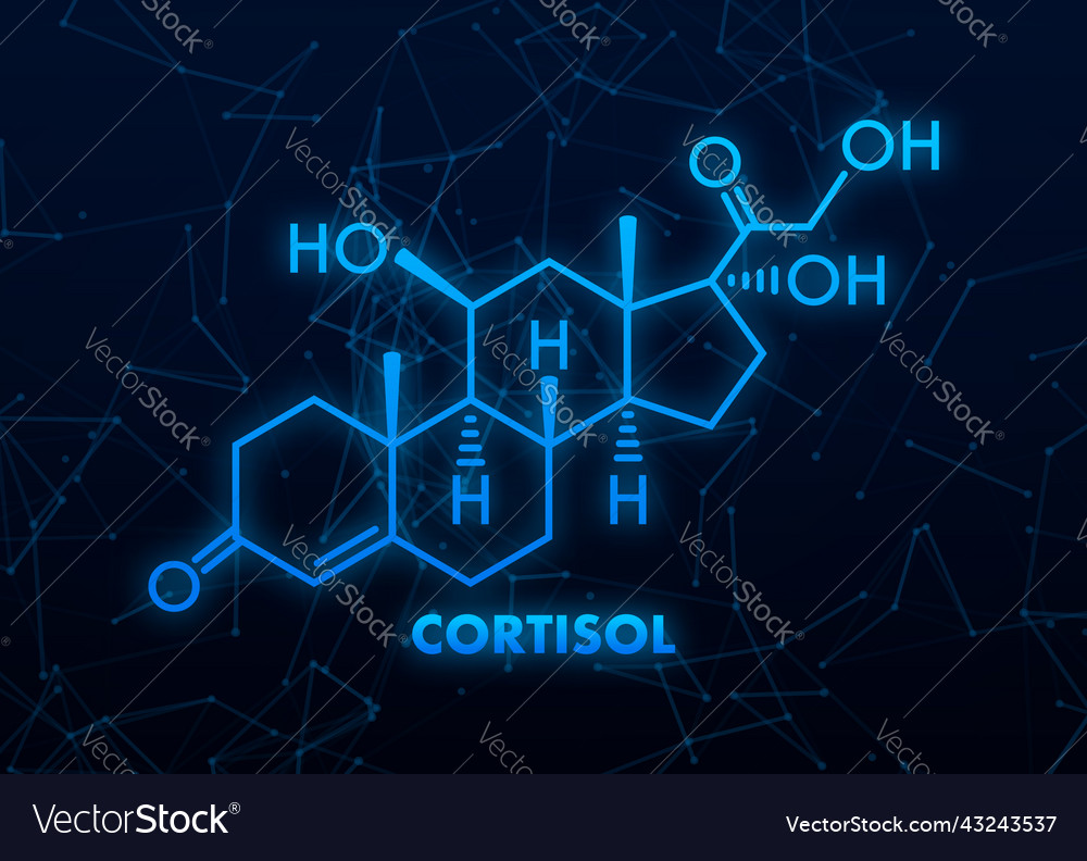 Stress hormone cortisol chemical formula icon Vector Image