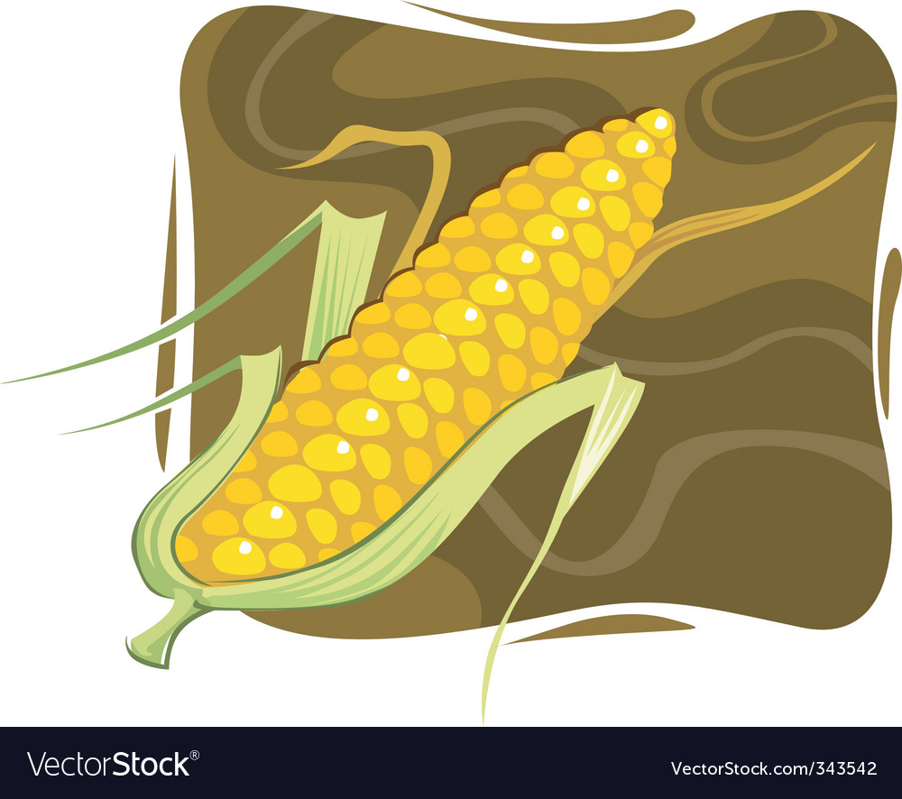 Maize Royalty Free Vector Image - VectorStock