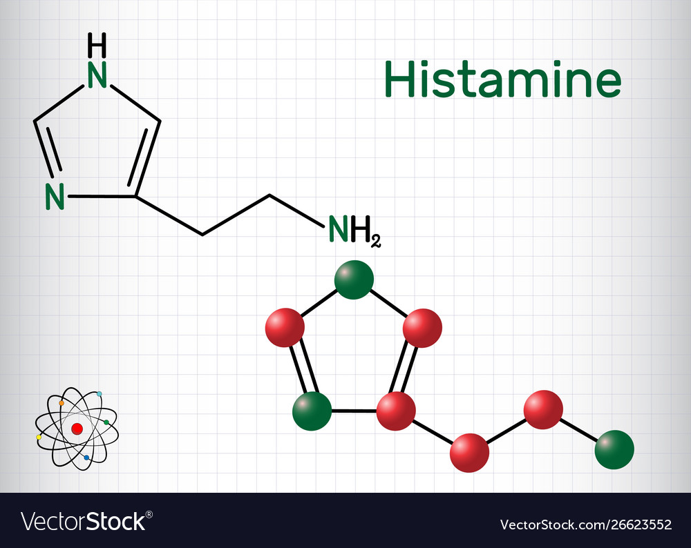 Histamine molecule it is amine nitrogenous Vector Image