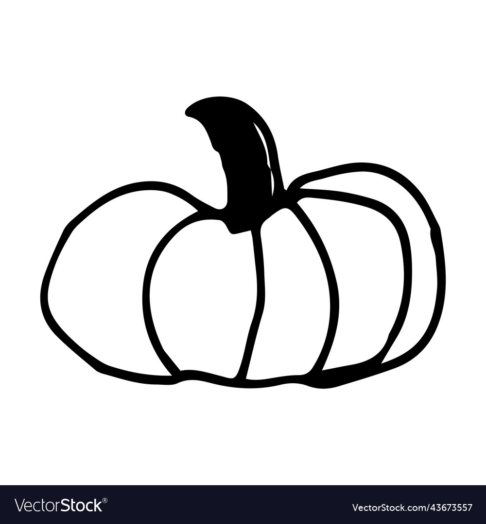 Single element vegetable cute oval pumpkin