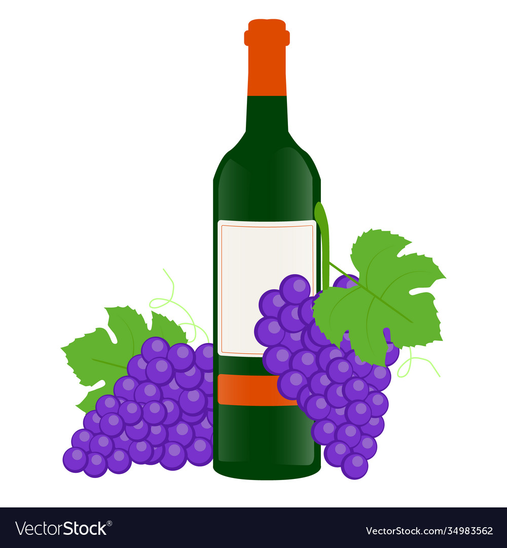 Bunches sweet grapes with a bottle wine