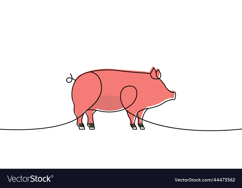 Pig one line colored continuous drawing piggy