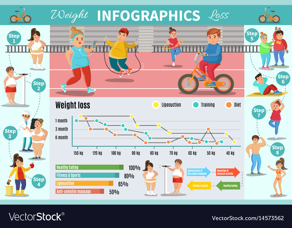 https://cdn3.vectorstock.com/i/1000x1000/35/62/weight-loss-program-infographic-concept-vector-14573562.jpg