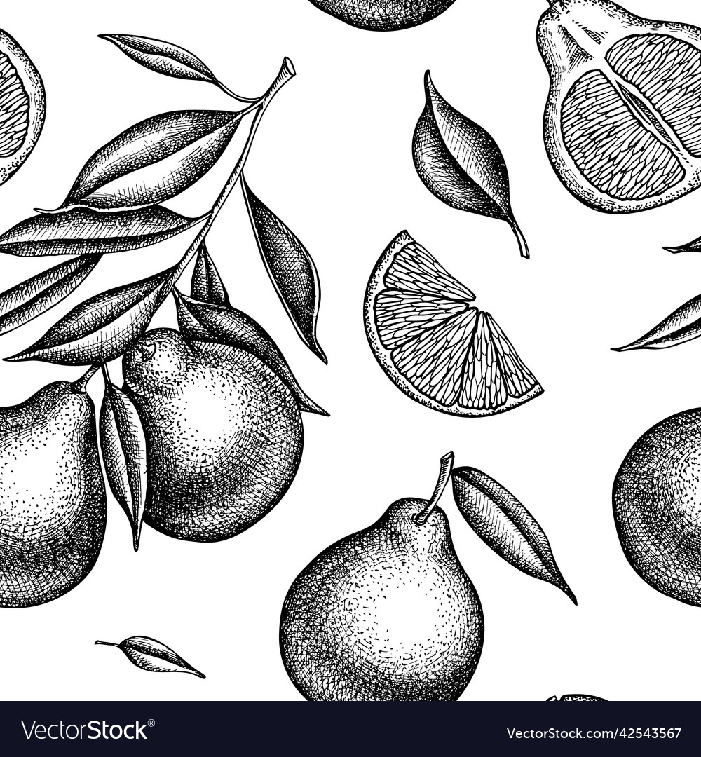 Citrus seamless pattern background design