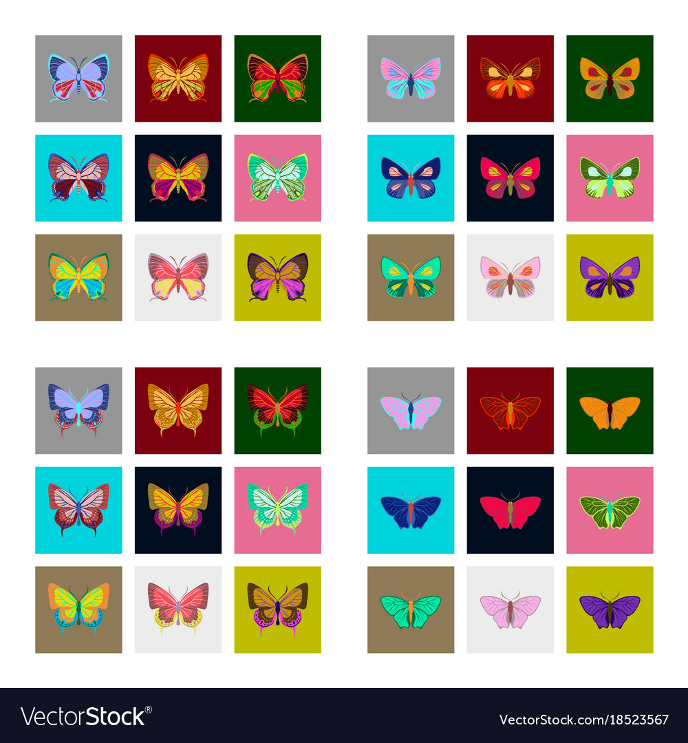 Flat icons big collection of colorful butterflies