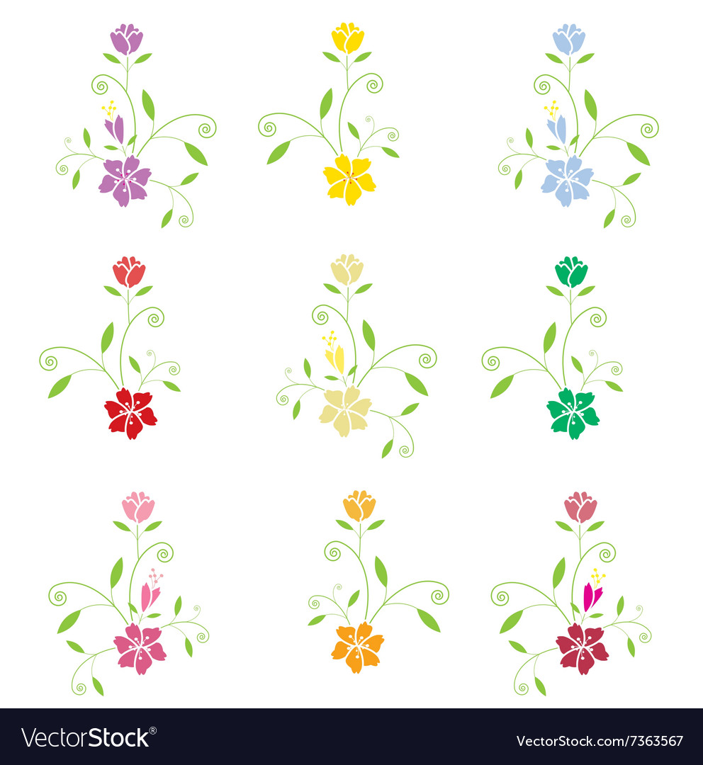 Flowers on white background