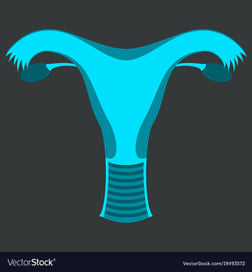 Uterus human internal organs flat Royalty Free Vector Image