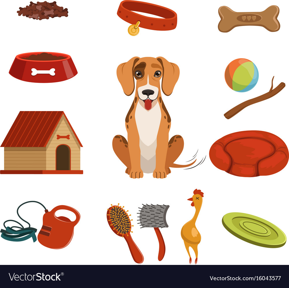 Dog Care Object Set Items And Stuff Royalty Free Vector