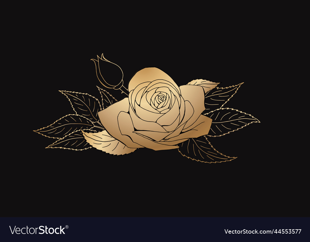 Roses hand drawing engraved a blossoming rosebud Vector Image