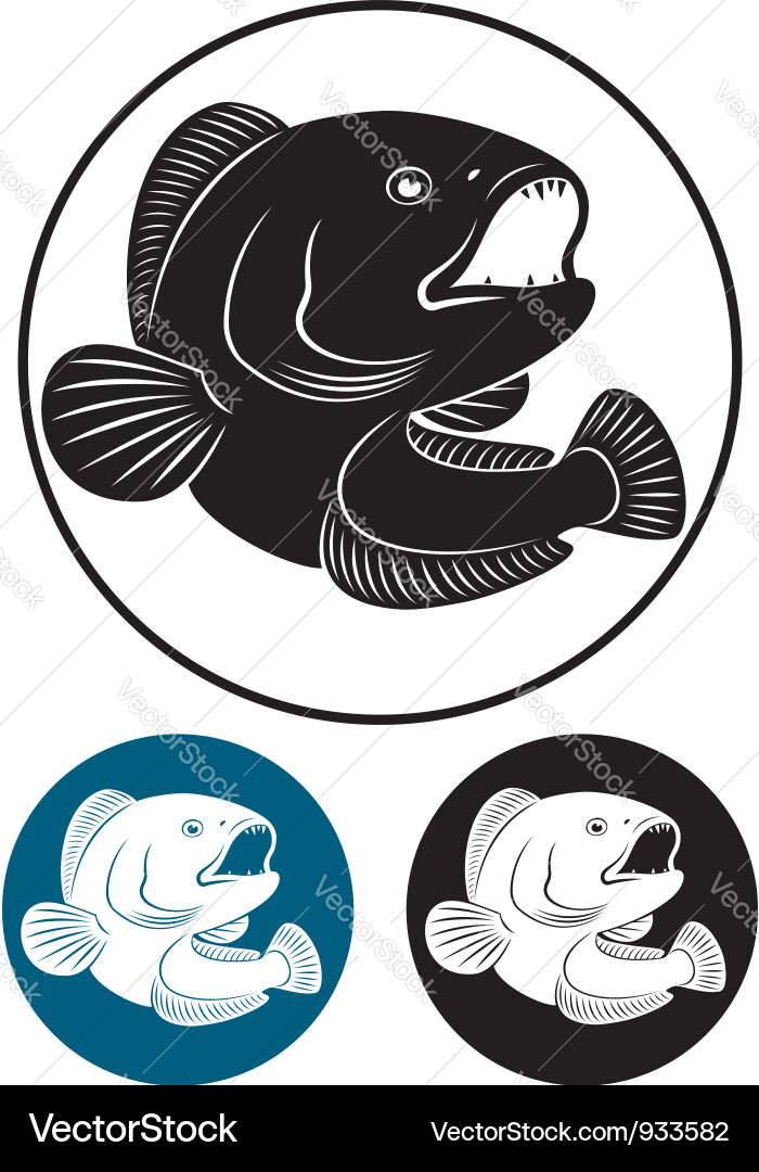 Catfish Royalty Free Vector Image - VectorStock