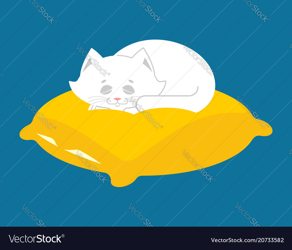 White cat sleeps on pillow sleeping kitten pet Vector Image