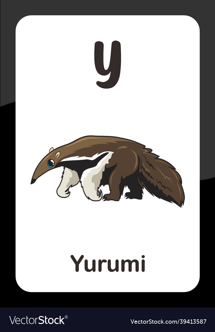 Animal alphabet flash card - y for yurumi