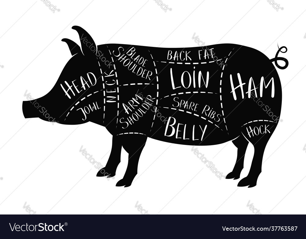 Butchers guide - pork Royalty Free Vector Image