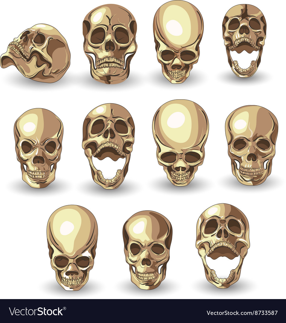 Skull set on white background