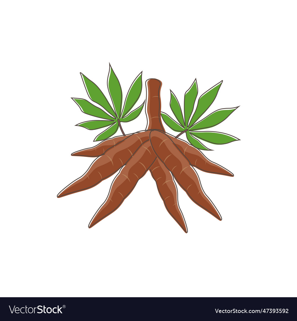 Cartoon Line Art Cassava Root With Leaves Vector Image 9886