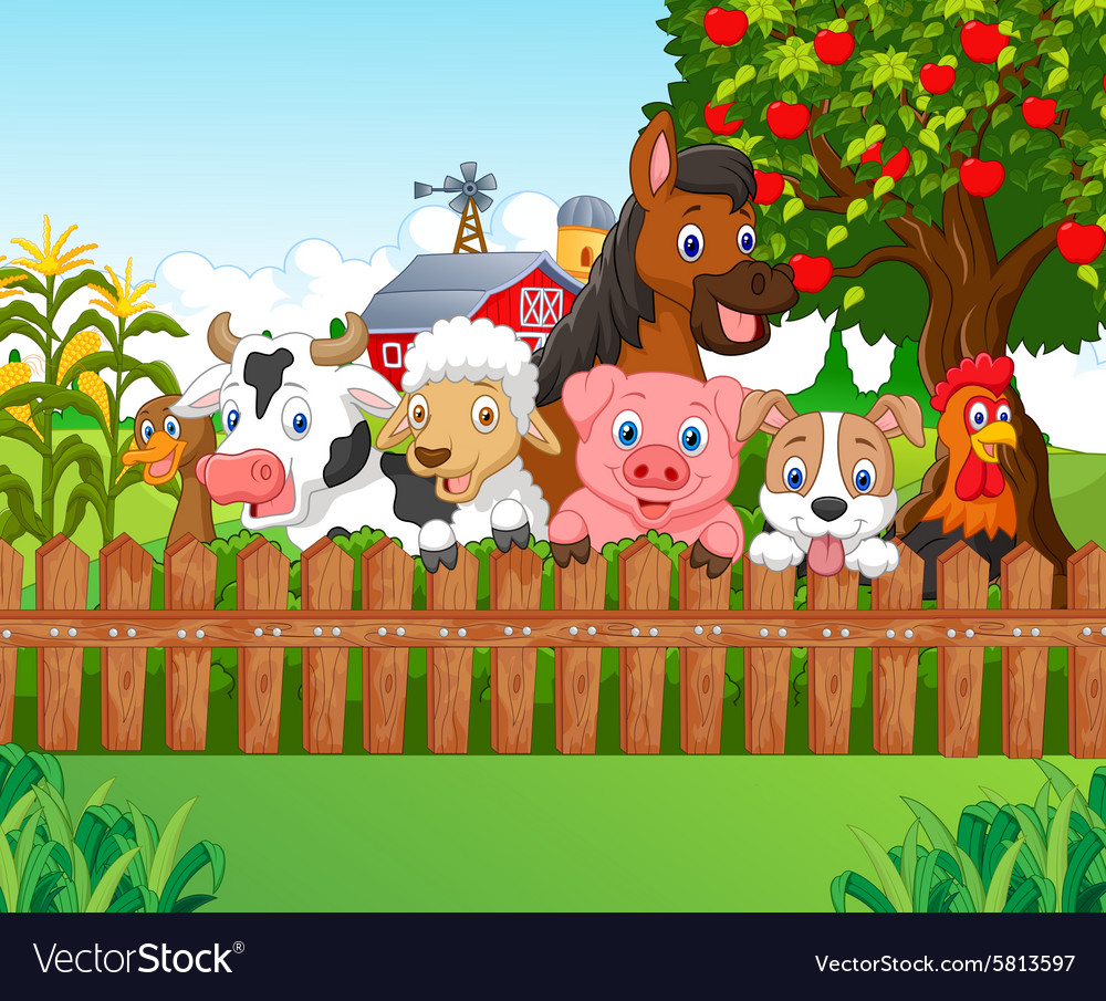 Collection farm animals