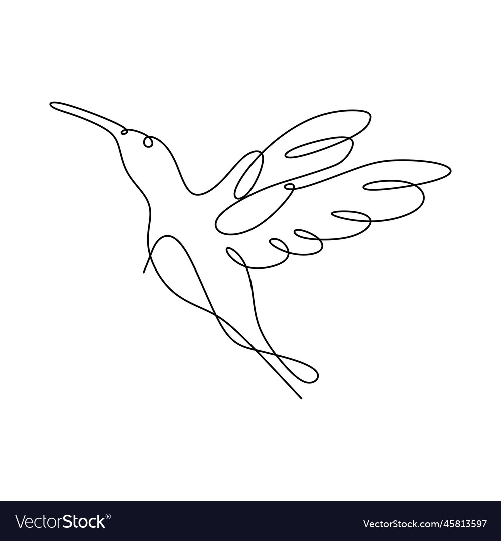 Continuous line drawing of hummingbird minimalism Vector Image