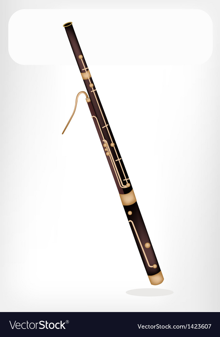 a classical bassoon with