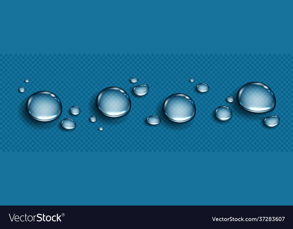 Water drops isolated on transparent background Vector Image