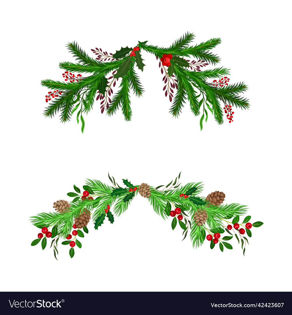 Winter fir branches arranged with berry twigs Vector Image