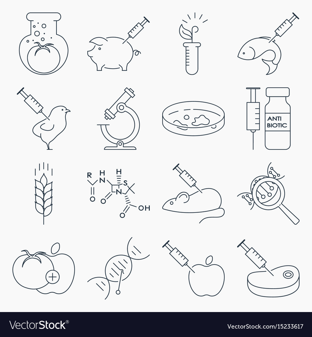 Collection genetic modification outline icons Vector Image