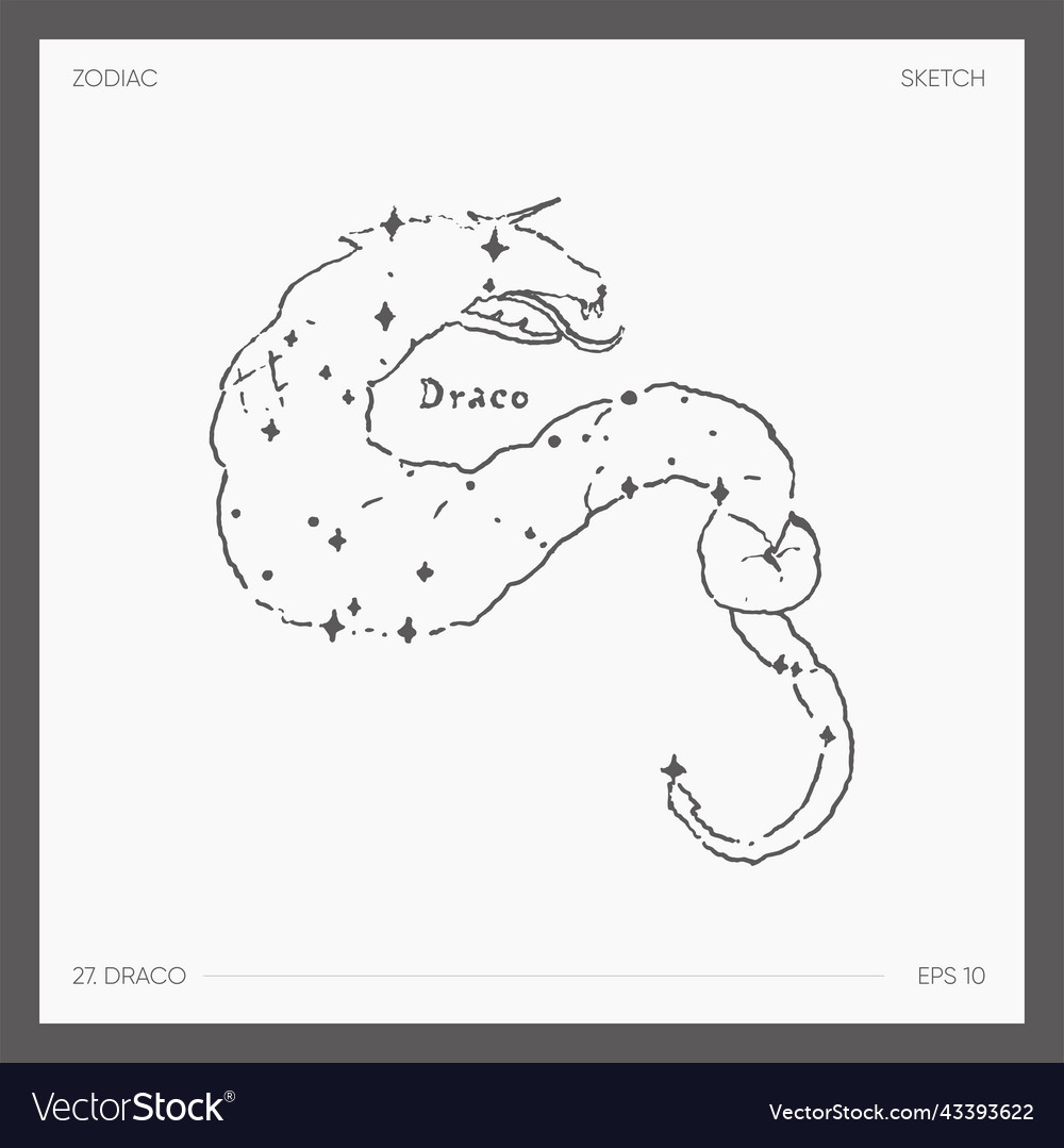 Astrological zodiac draco Royalty Free Vector Image