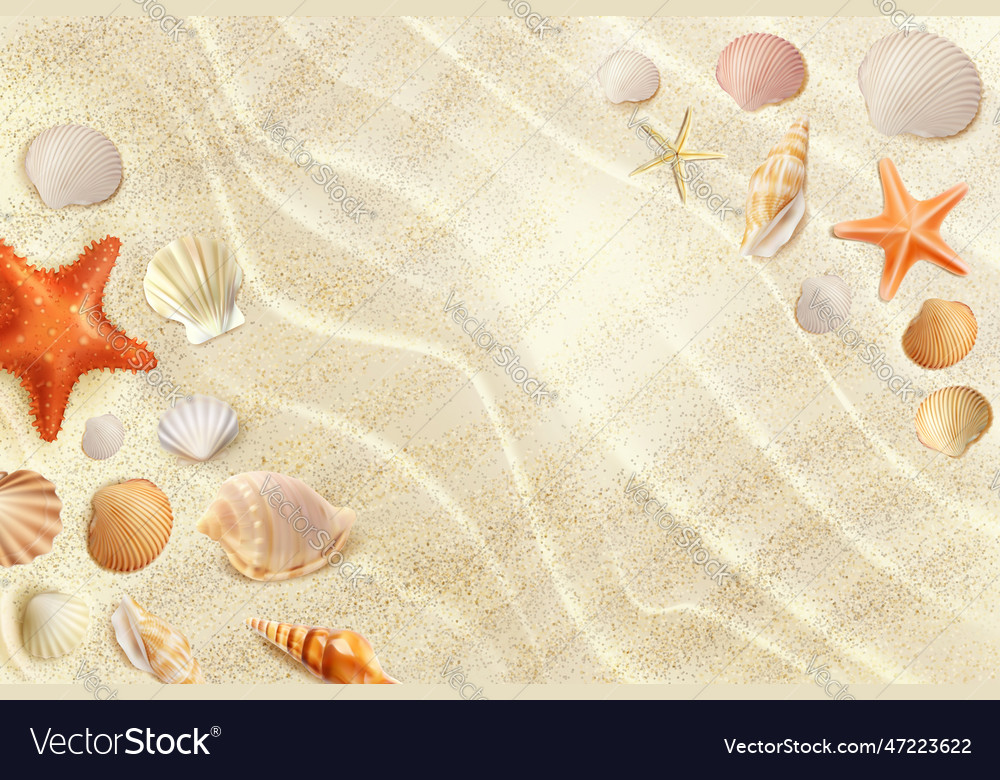 Realistic sand beach top view seashell starfish Vector Image