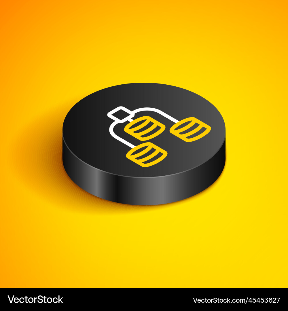 Isometric line server data web hosting icon Vector Image