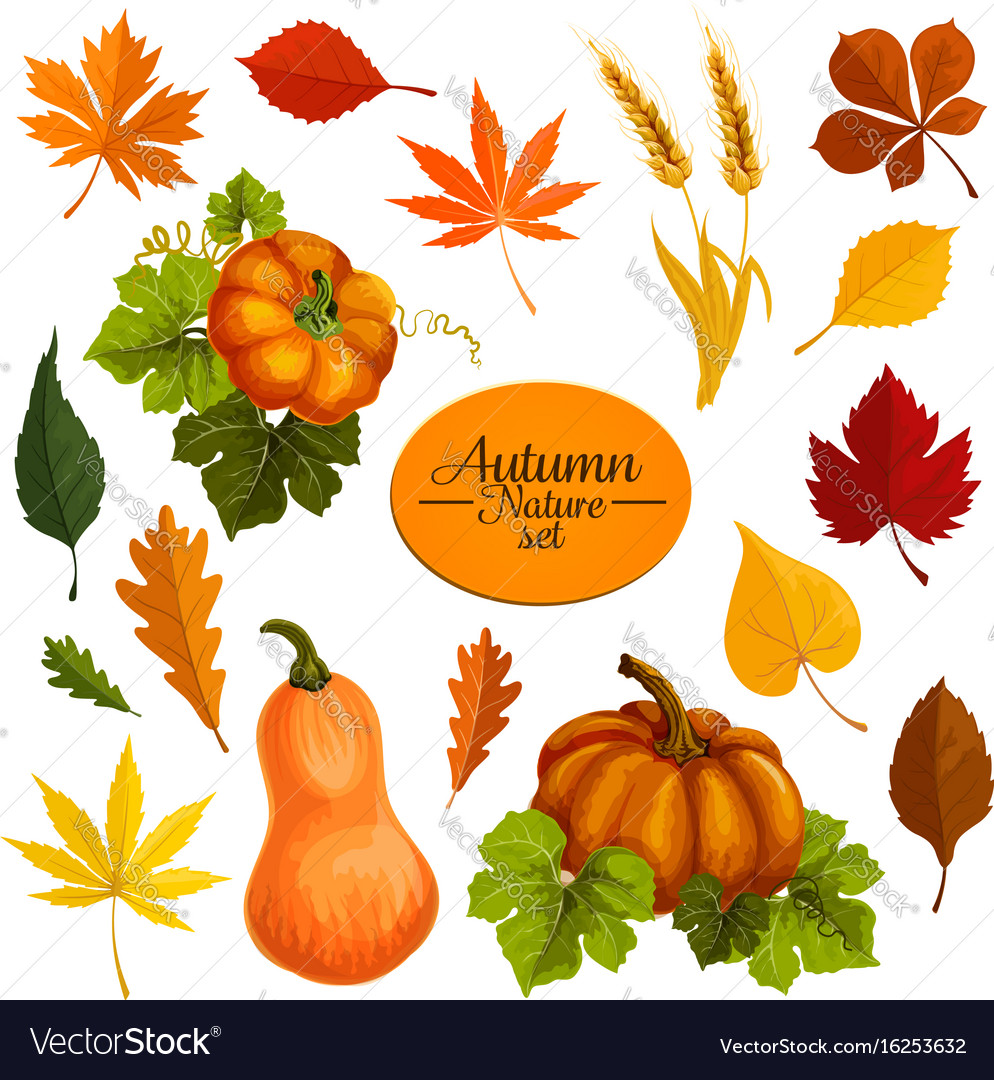 Autumn icons of leaf fall and harvest