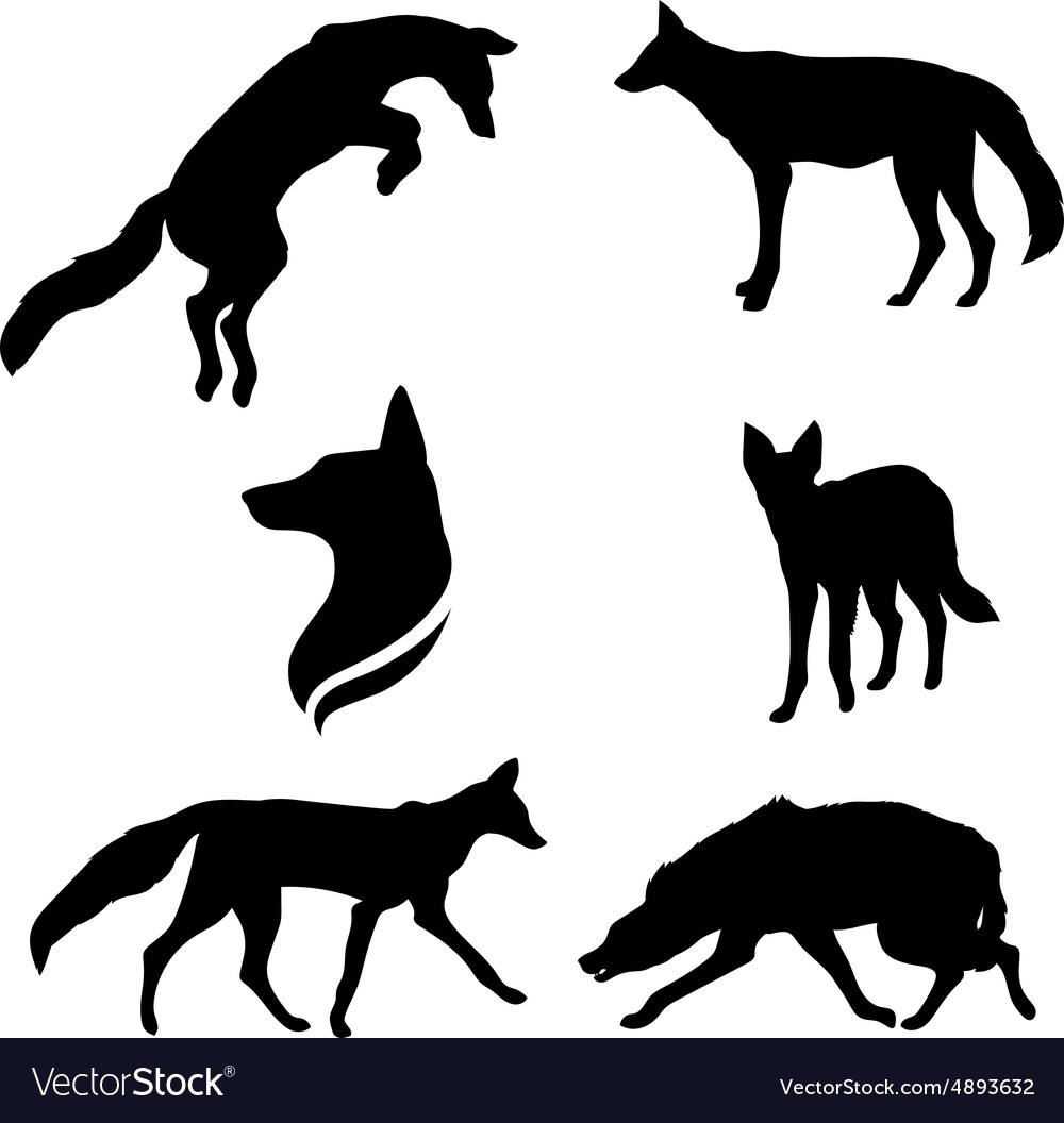 Jackalset Royalty Free Vector Image Vectorstock