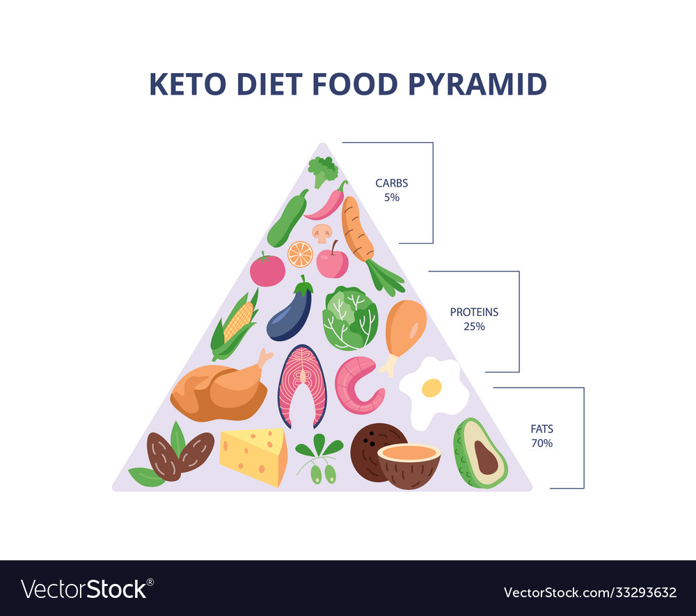 Keto diet food pyramid with carbs protein Vector Image