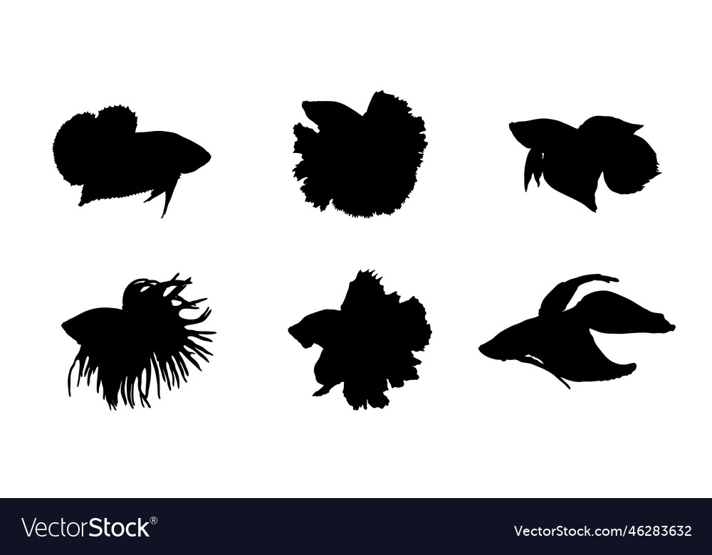 Set Of Silhouettes Of Betta Fish Royalty Free Vector Image