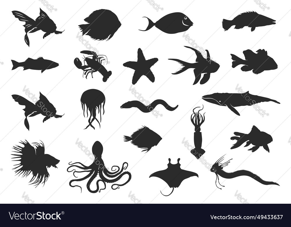 Sea fish silhouette clipart Royalty Free Vector Image