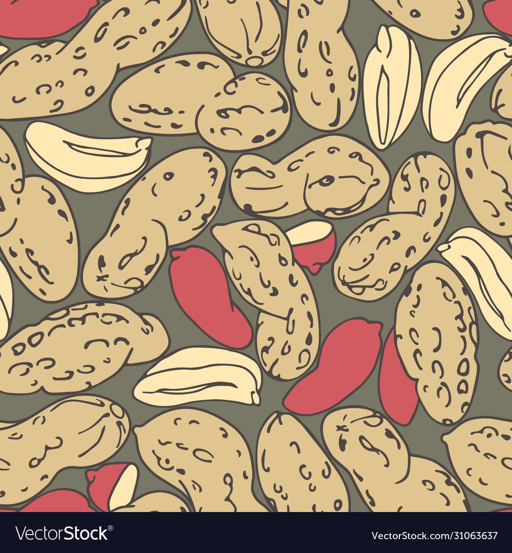 Seamless pattern a set peanuts red kernels