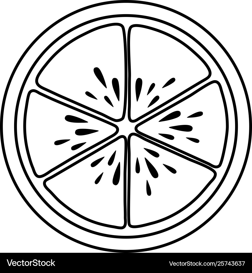 Slice orange design Royalty Free Vector Image - VectorStock
