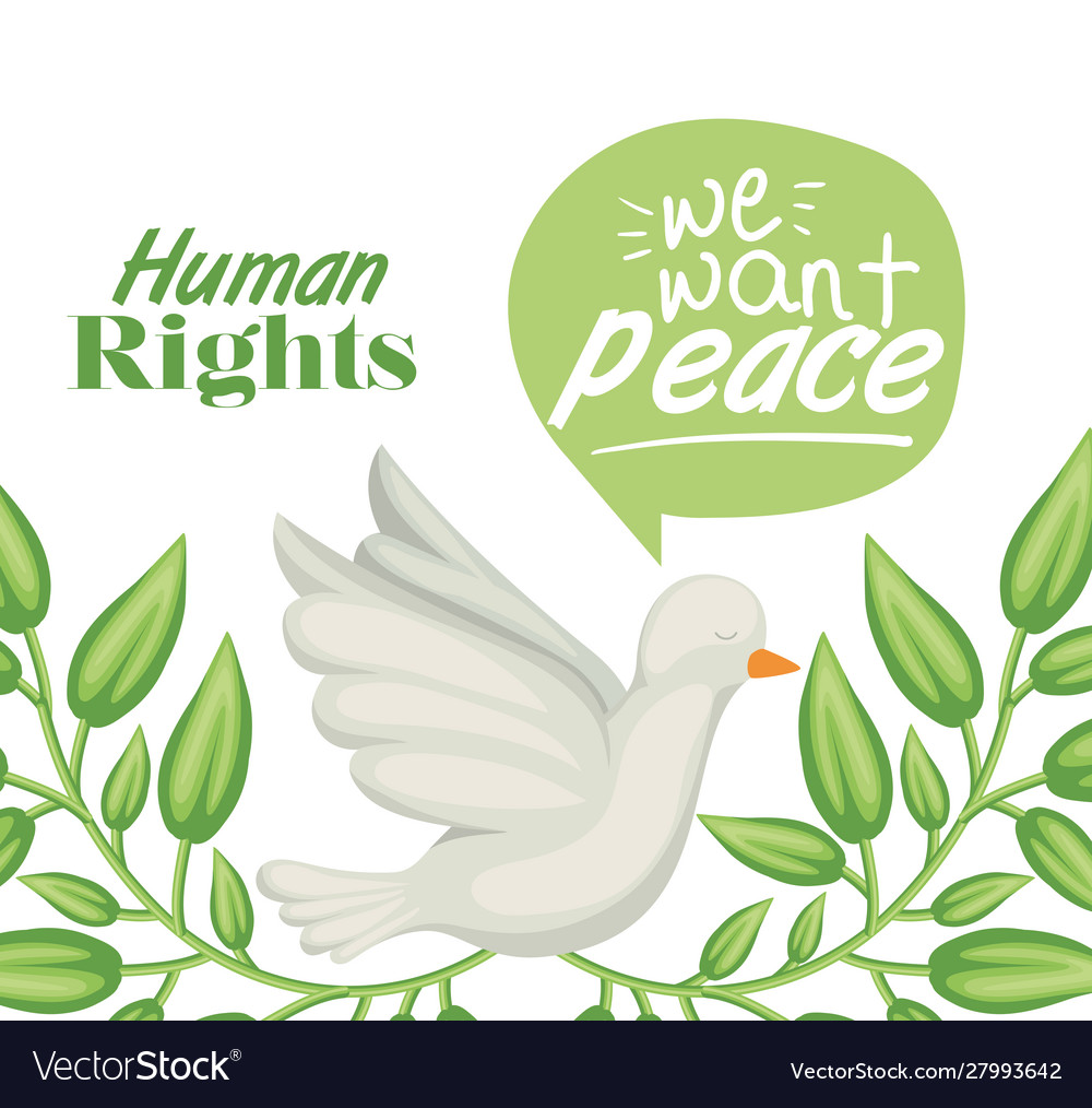 Dove human rights concept design