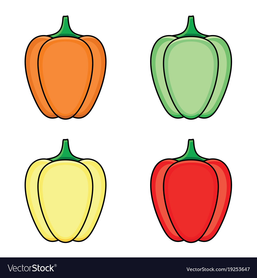 Flat sketch fresh ripe bellpepper set