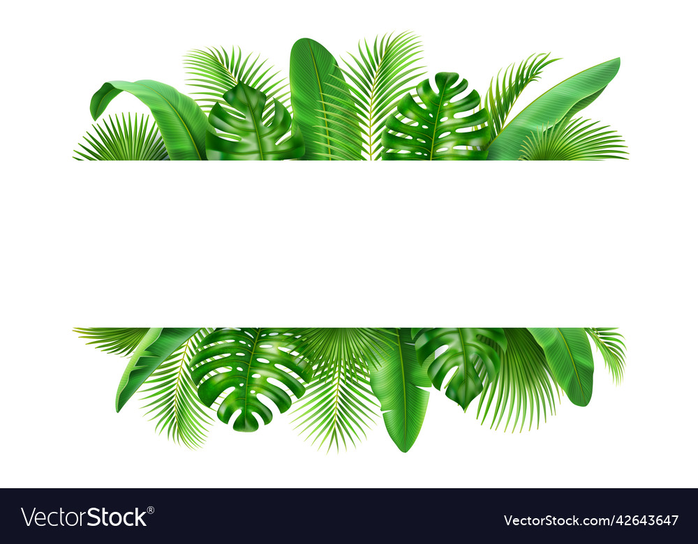 Frame exotic tropical leaves realistic background Vector Image