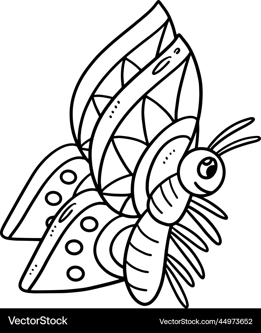 Spring butterfly isolated coloring page for kids Vector Image