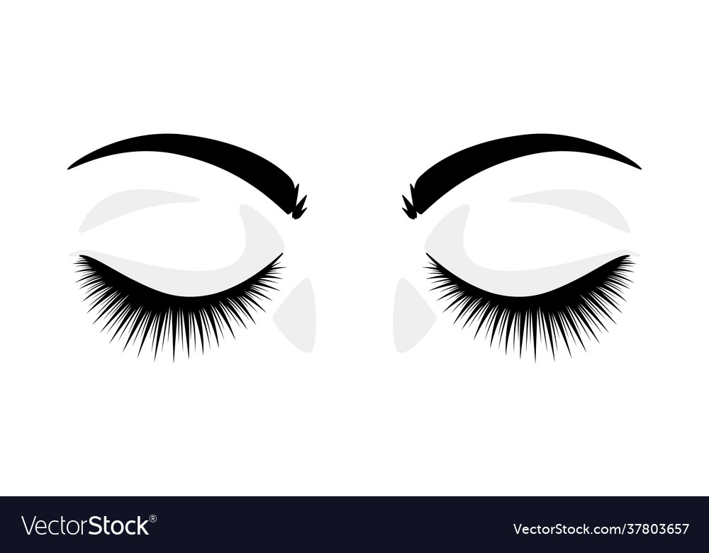 Eyelashes closed eyes with false extended lashes Vector Image