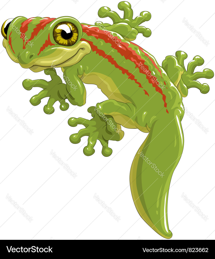 Dead Lizard Vector Lizard Royalty Free Vector Image - VectorStock