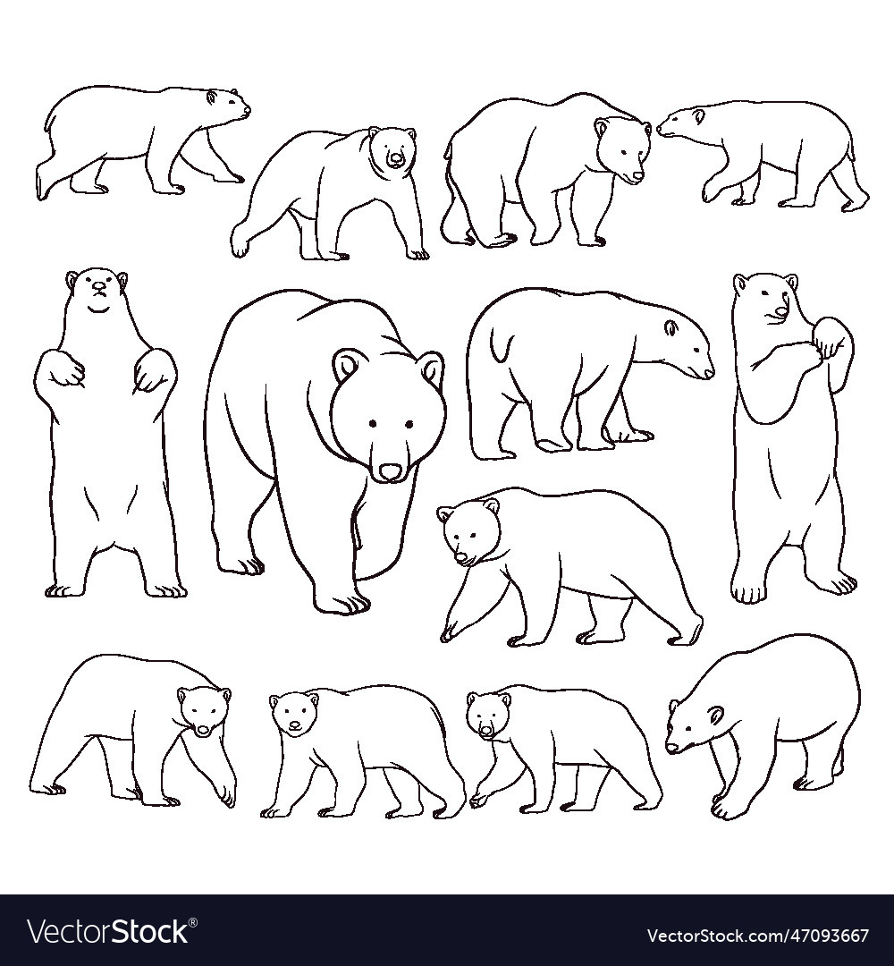 Set of hand drawn bear Royalty Free Vector Image