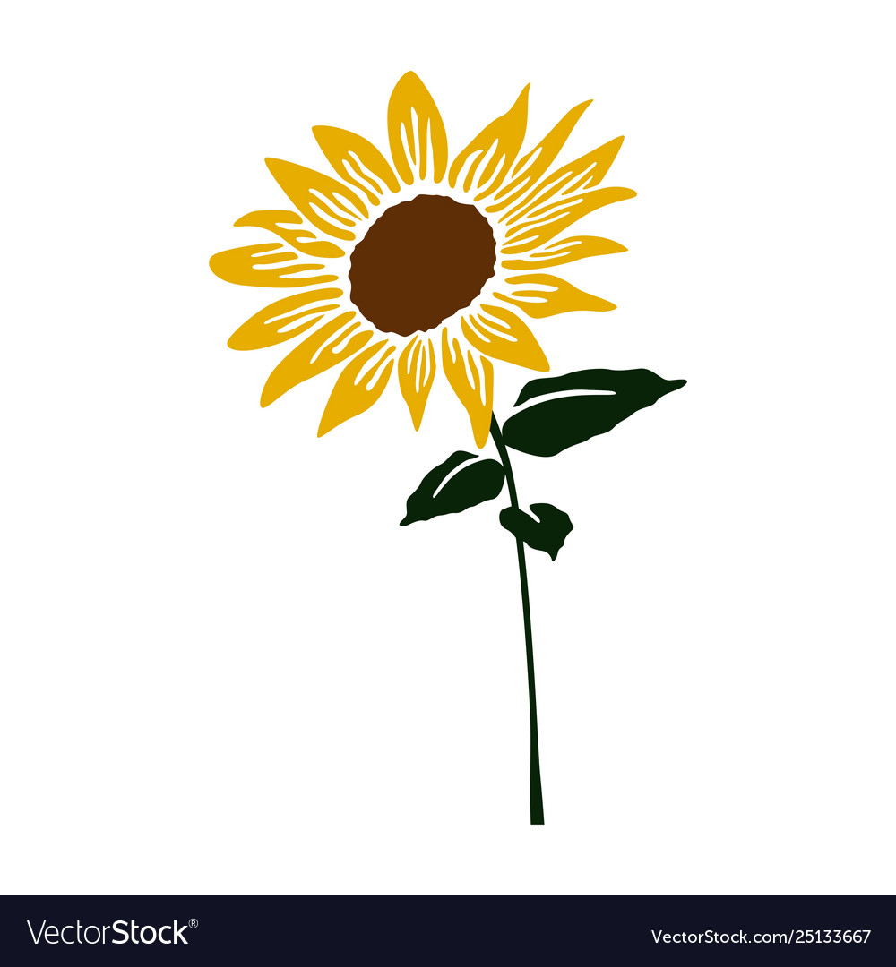 Sunflower Royalty Free Vector Image - VectorStock