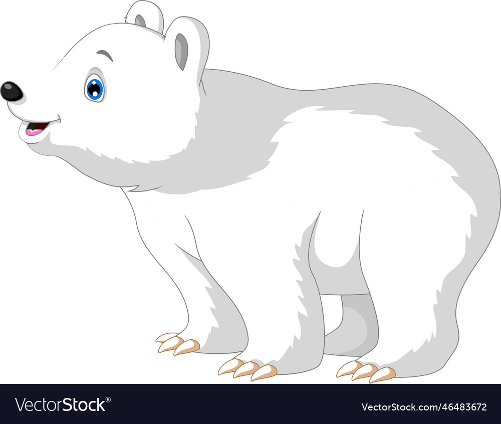 Cute polar bear cartoon posing Royalty Free Vector Image