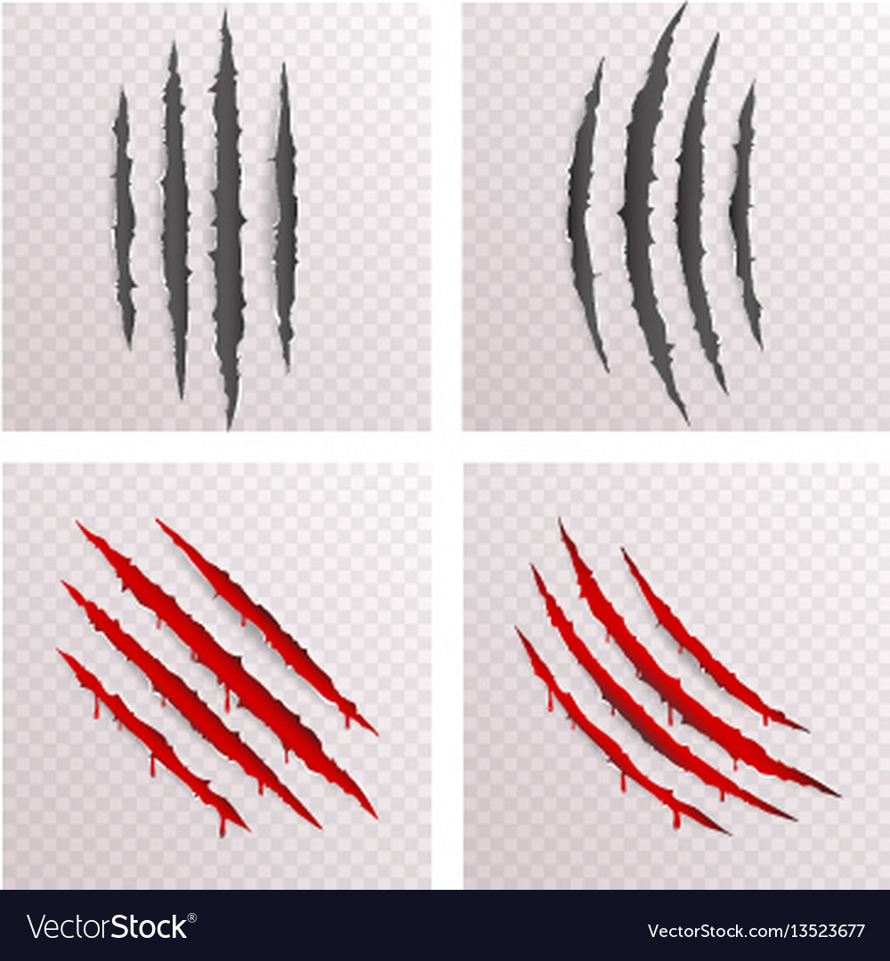 Premium Vector  Scratched claw blood wound isolated