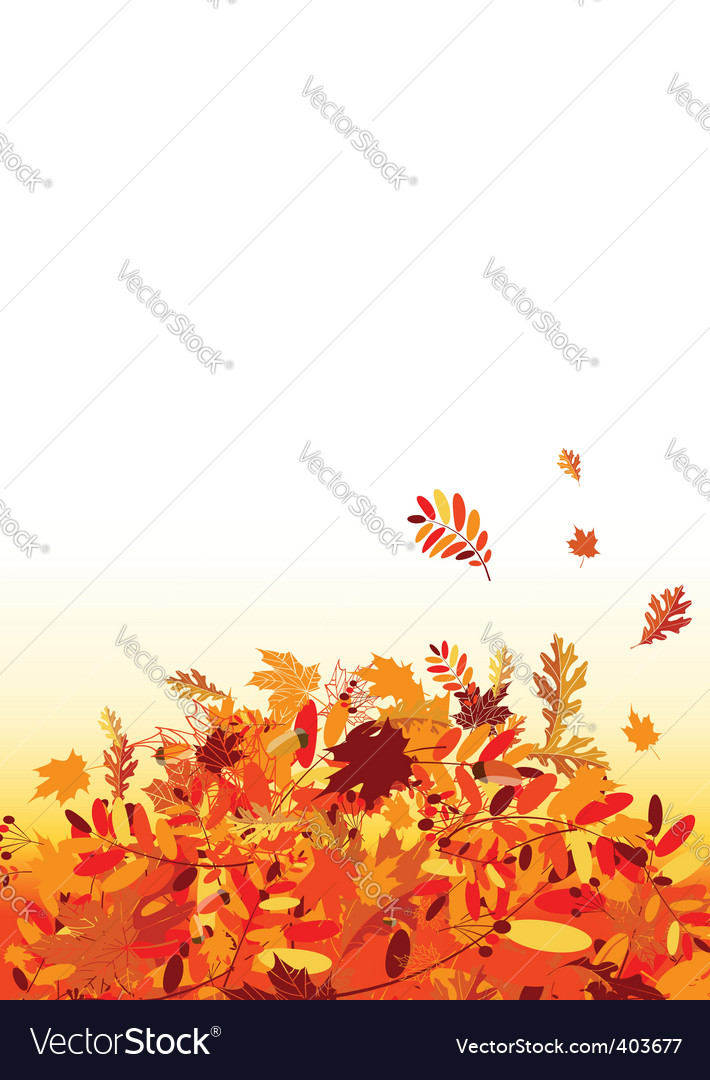 Autumn leaves Royalty Free Vector Image - VectorStock