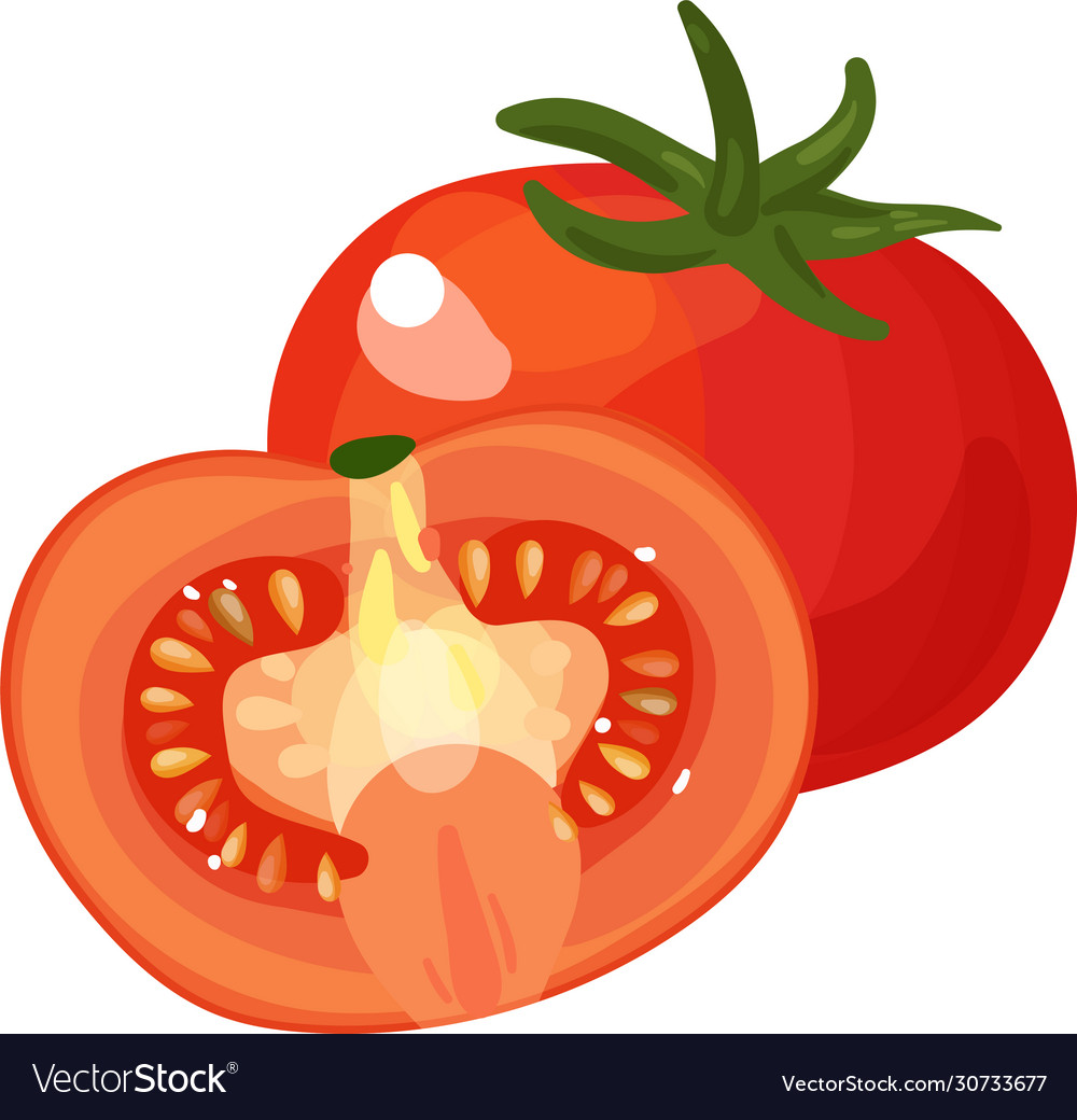 Tomato fresh vegetable concept single